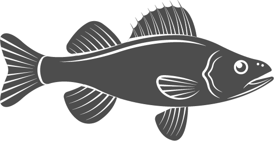 icon - /uploads/s/q/s/b/qsb0rb91vkrl/img/full_nU56JO4R.png